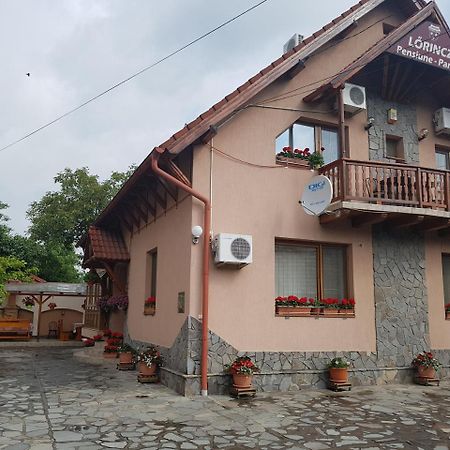 Pensiunea Lőrincz *** Panzió Sovata Exterior foto
