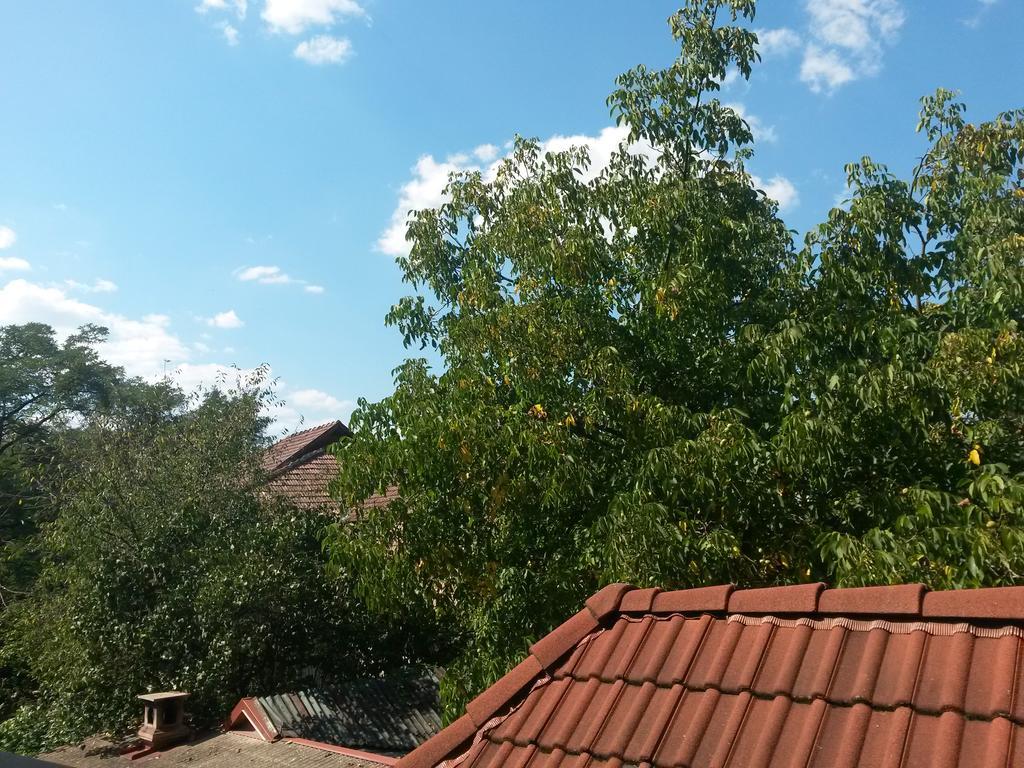 Pensiunea Lőrincz *** Panzió Sovata Exterior foto