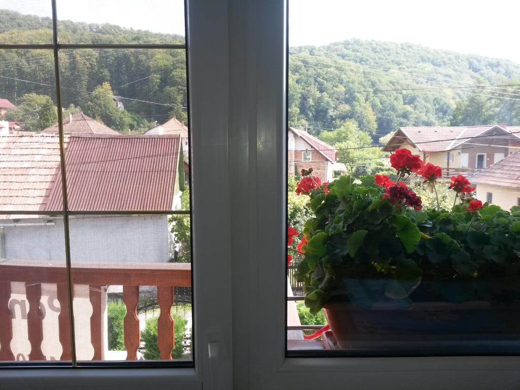 Pensiunea Lőrincz *** Panzió Sovata Exterior foto