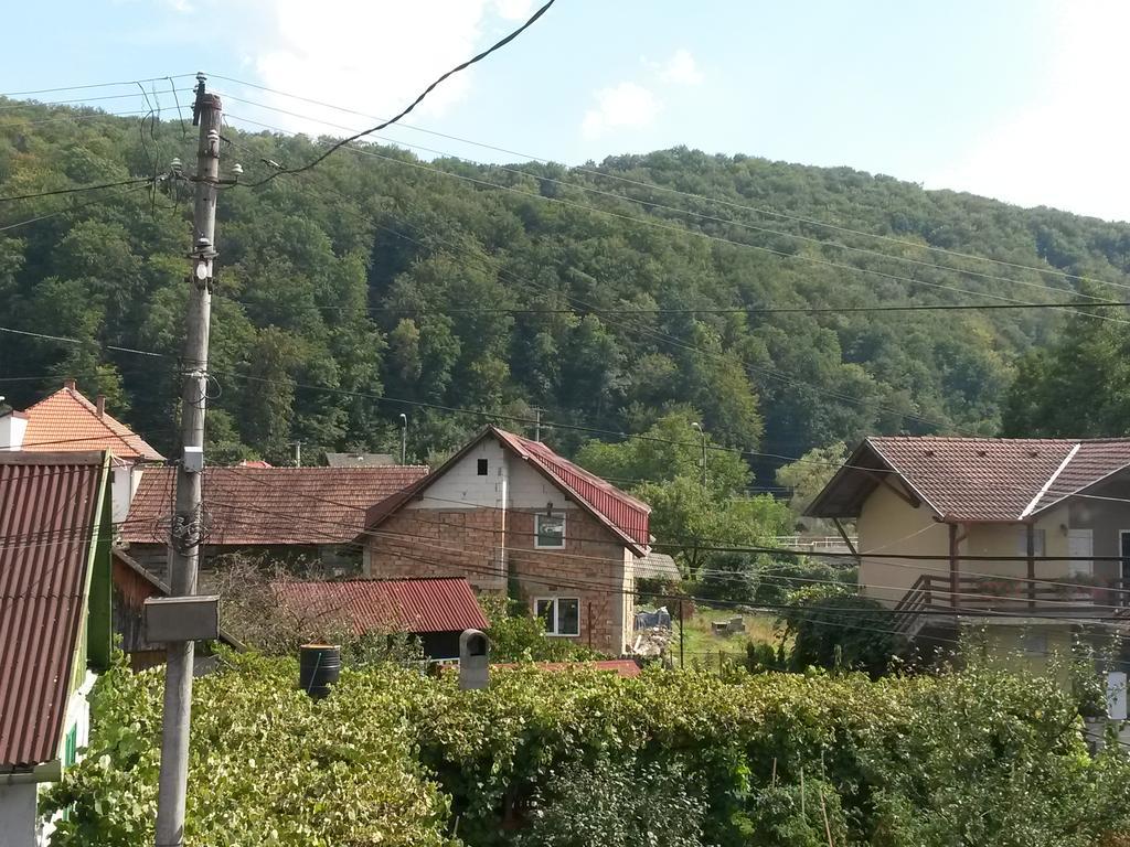 Pensiunea Lőrincz *** Panzió Sovata Exterior foto