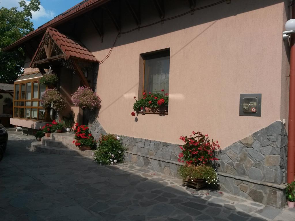 Pensiunea Lőrincz *** Panzió Sovata Exterior foto