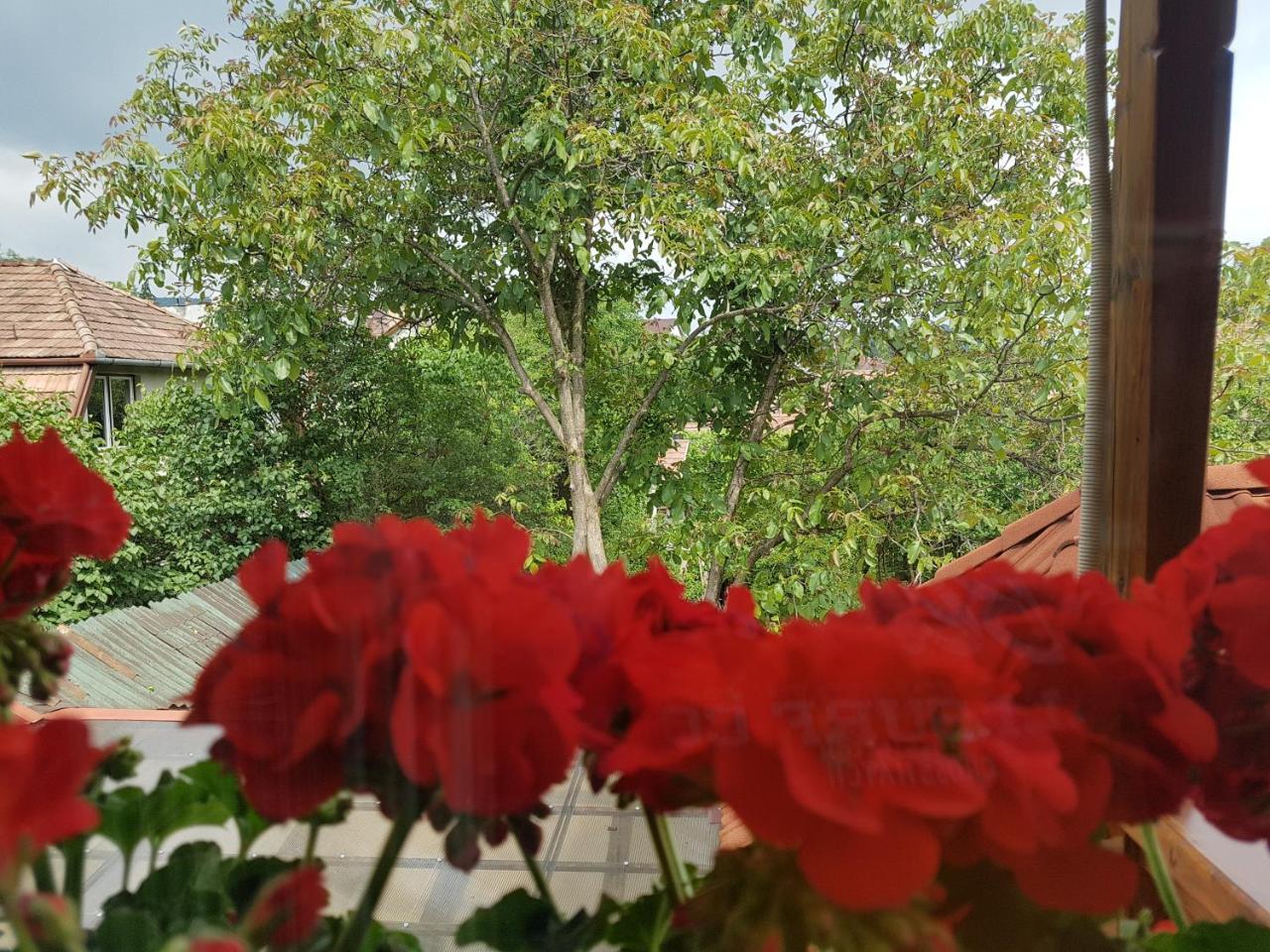 Pensiunea Lőrincz *** Panzió Sovata Exterior foto
