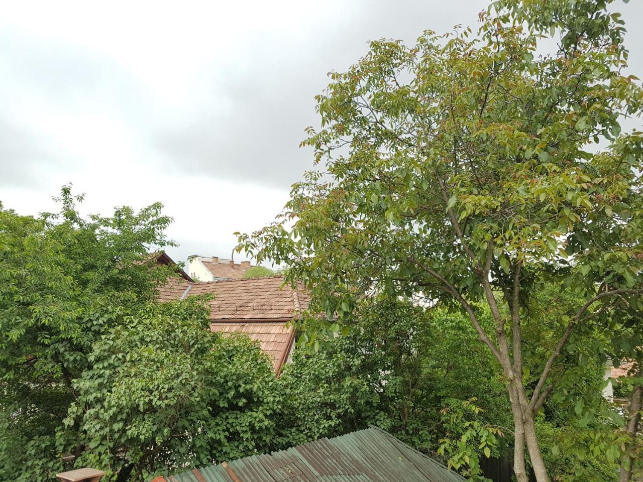 Pensiunea Lőrincz *** Panzió Sovata Exterior foto